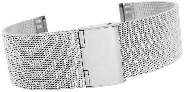 Fashion Mesh Silver IPS 22mm FA22S