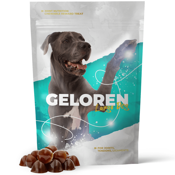 Geloren Large Dog 420g - Unikátní doplňková směs, ovocné želé pro velké psy na klouby 60 ks.