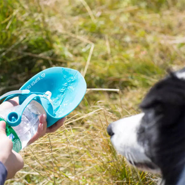 Cestovní láhev na vodu pro zvířata list 580ml Irodori Vet