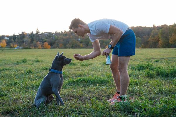 Geloren Small Dog 180g - Unikátní doplňková směs, ovocné želé pro malé psy na klouby 60 ks.