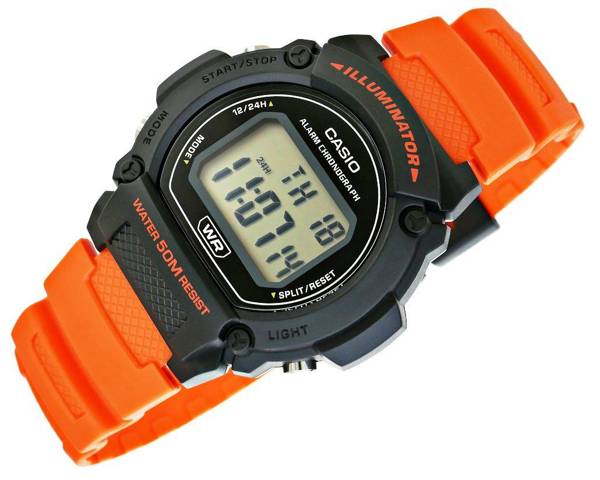 Pánské hodinky Casio W-219H-4AVDF