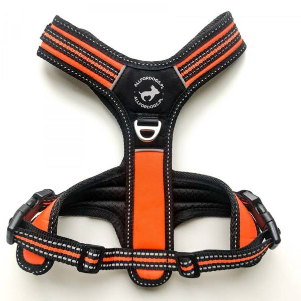 Postroj 3x-Sport Orange L