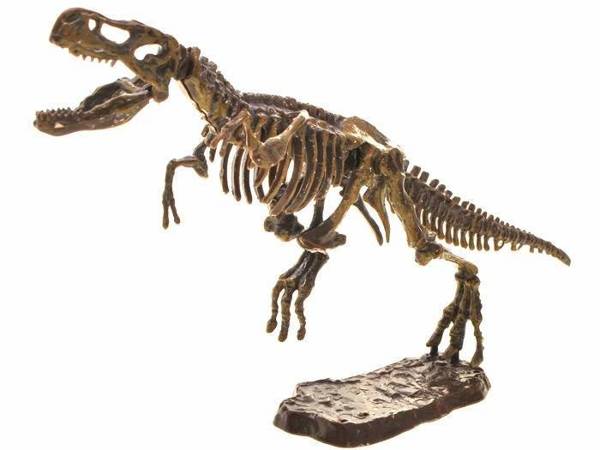 T-REX 3D sada na výkop skeletu ZA1777 A