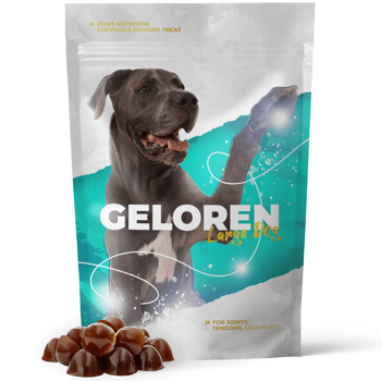 Geloren Large Dog 420g - Unikátní doplňková směs, ovocné želé pro velké psy na klouby 60 ks.