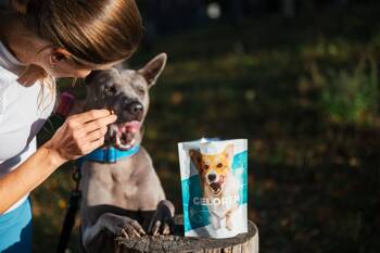 Geloren Small Dog 180g - Unikátní doplňková směs, ovocné želé pro malé psy na klouby 60 ks.