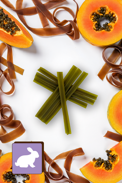 Dentální pamlsek pro psy Dental Sticks Mersjo Hovězí Řasy Zelené Čaj 28 ks