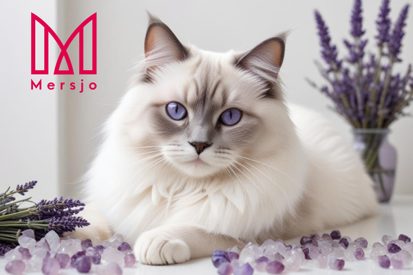 Mersjo Levandulová silikonová podestýlka pro kočky 5x3,8L