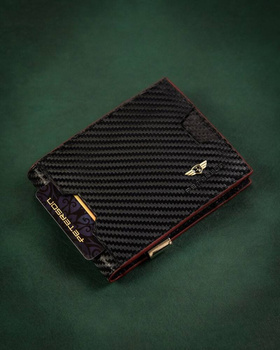 Elegantní, kožená pánská peněženka s RFID systémem