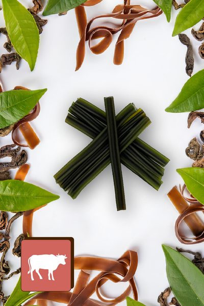 Dentální pamlsek pro psy Dental Sticks Mersjo Hovězí Řasy Zelené Čaj 7 ks