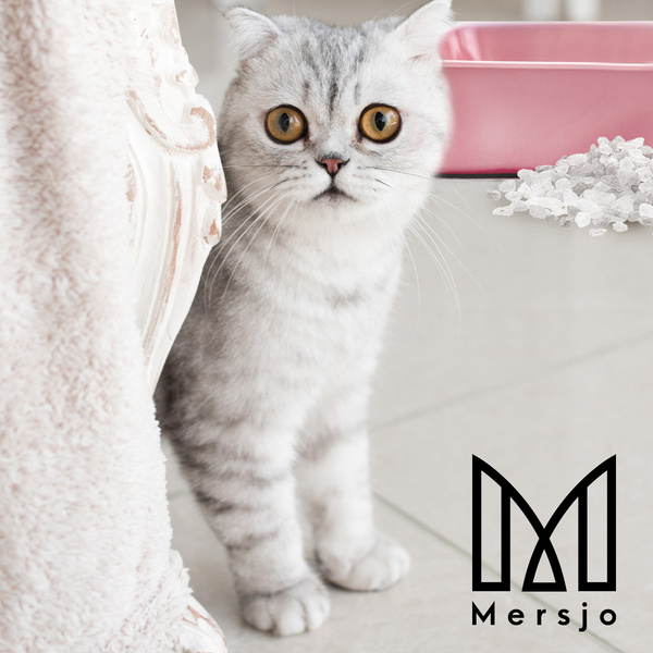 Silikonová podestýlka pro kočky Mersjo Sensitive 5x3,8L